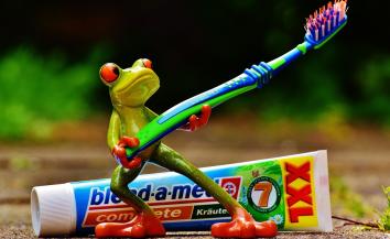 Frog holding a toothbrush.
